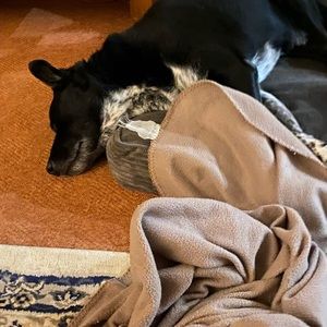 Meet your Posher, Caroline